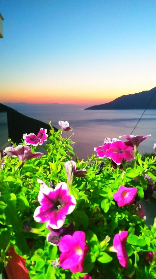 Alkyon Suites Agios Vasilios  Exteriér fotografie